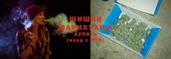 шишки Алексин