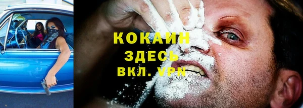 а пвп мука Алзамай