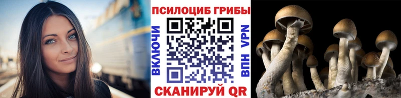гидра рабочий сайт  Бологое  Галлюциногенные грибы мухоморы  цена  